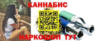 мдпв Камышлов