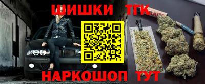 мдпв Камышлов