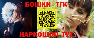 мдпв Камышлов