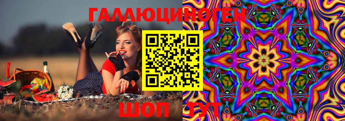 Псков  Псилоцибиновые грибы Psilocybe  Вход с VPN  Псилоцибиновые грибы Psilocybe 