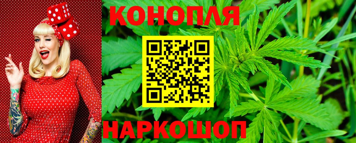 Псков  Шишки марихуана семена  Вход с VPN  Конопля AK-47 
